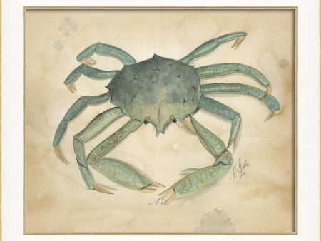 Spicher & Company SS Ocean Crab 5 22601 For Sale