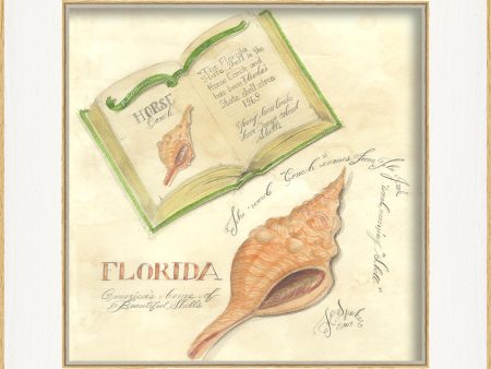 Spicher & Company SS Florida Shell 22435 Cheap