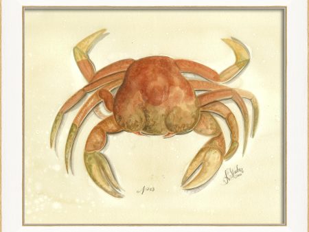 Spicher & Company SS Crab03 22502 For Sale