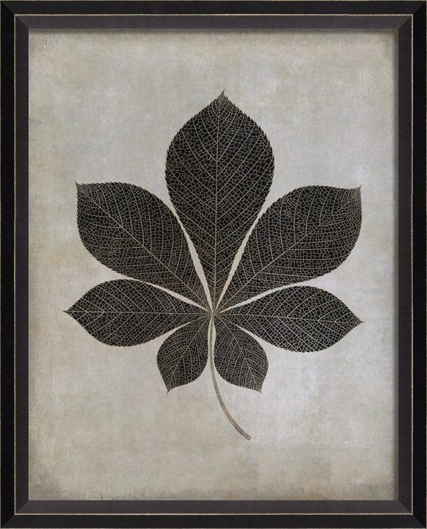 Spicher & Company BC Leaf No4 b w sm 82719 Online Sale