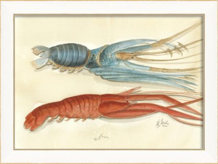 Spicher & Company SS Lobster02 22501 Online Hot Sale