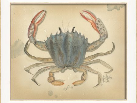 Spicher & Company SS Ocean Crab 8 22604 Cheap