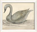 Spicher & Company WC the beautiful swan 77376 Supply