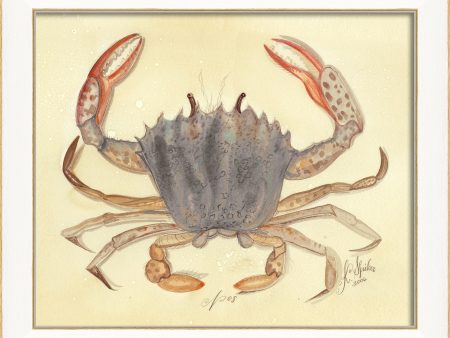 Spicher & Company SS Crab08 22507 Online now