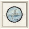 Spicher & Company WC Porthole to the White Seagull 27137 Hot on Sale