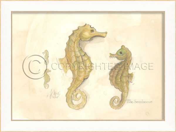 Spicher & Company SS Seahorses 22528 For Sale