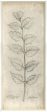 Spicher & Company WC Burnet White Parchment 19x48 35365 Hot on Sale