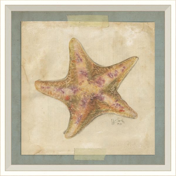 Spicher & Company WC Starfish 4 22592 Online