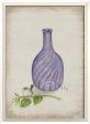 Spicher & Company WC Flower in Bottle 5 lg 35335 Online now