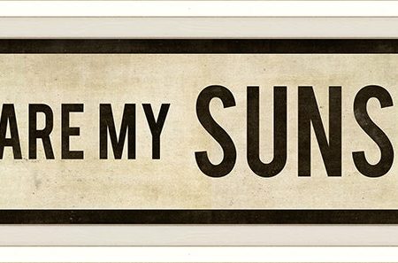 Spicher & Company WC You are My Sunshine 81509 Supply