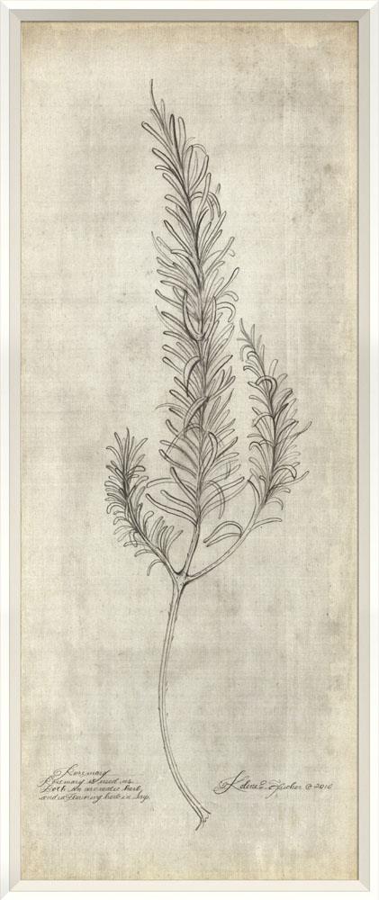 Spicher & Company WC Rosemary White Parchment 19x48 35373 Hot on Sale