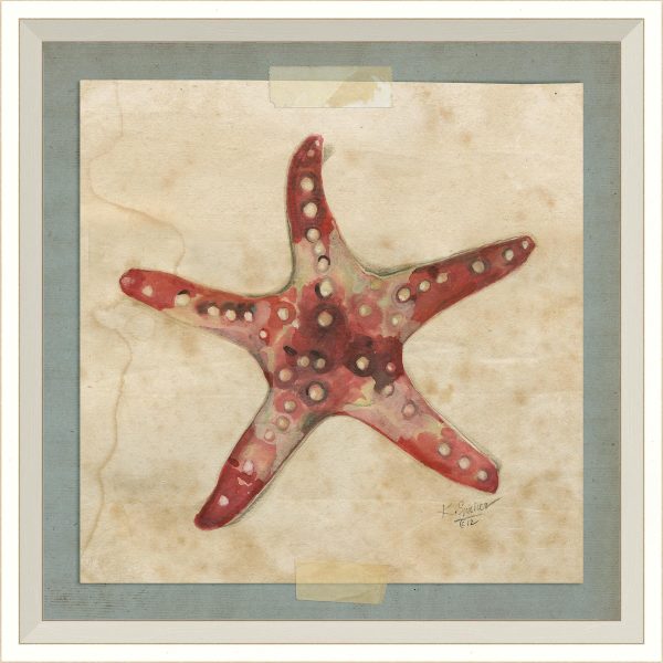 Spicher & Company WC Starfish 2 22590 Online Hot Sale