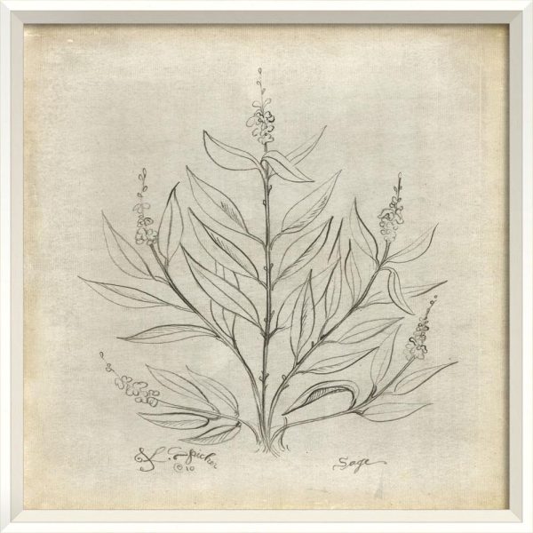 Spicher & Company WC Sage White Parchment 35374 on Sale